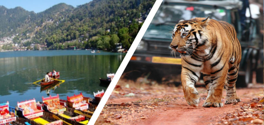 Nainital tour with Jim Corbett jungle safari
